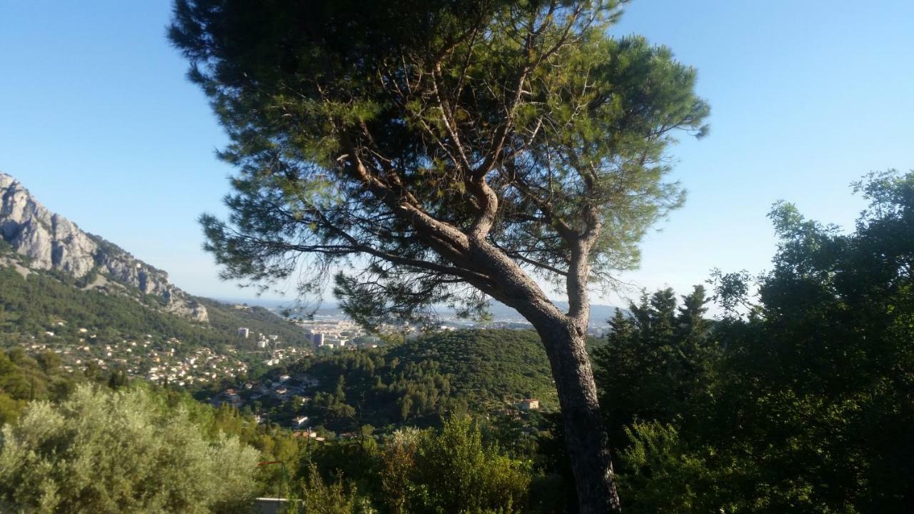 Bienvenue